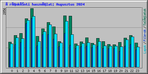 Óránkénti használat: Augusztus 2024