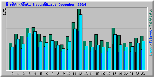 Óránkénti használat: December 2024