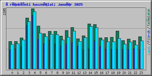 Óránkénti használat: Január 2025