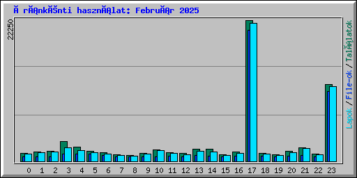 Óránkénti használat: Február 2025