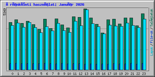 Óránkénti használat: Január 2026